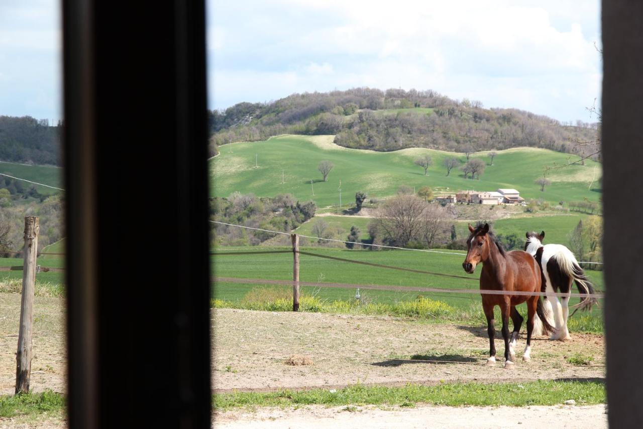 B & B La Primavera แพร์โกลา ภายนอก รูปภาพ
