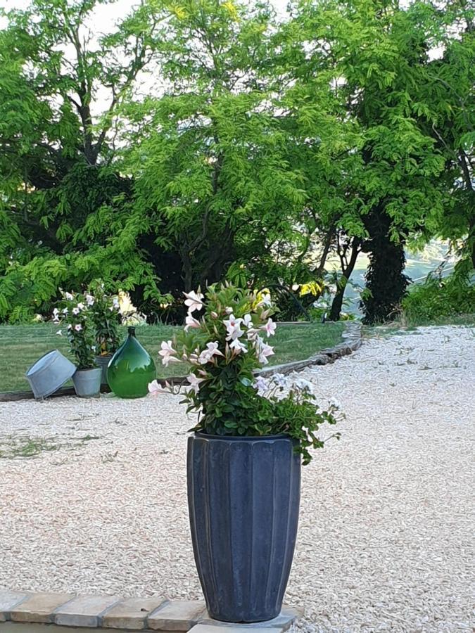B & B La Primavera แพร์โกลา ภายนอก รูปภาพ