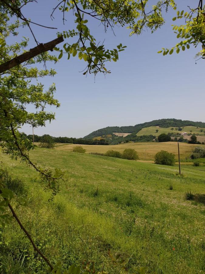 B & B La Primavera แพร์โกลา ภายนอก รูปภาพ